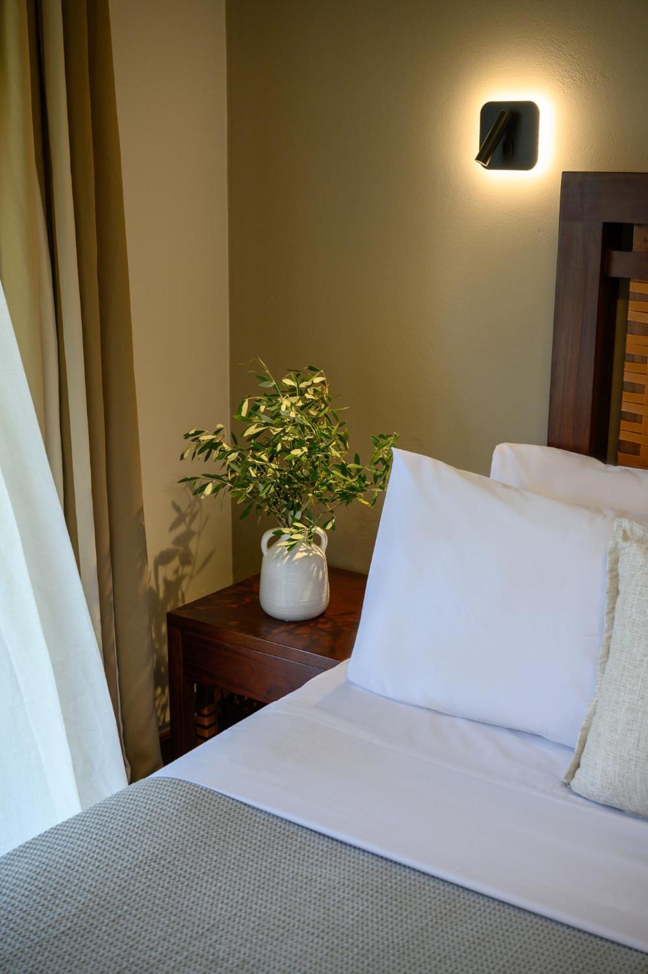 Elisso Boutique Hotel Vasilikí Eksteriør bilde